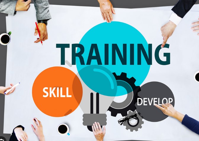 Training and Development